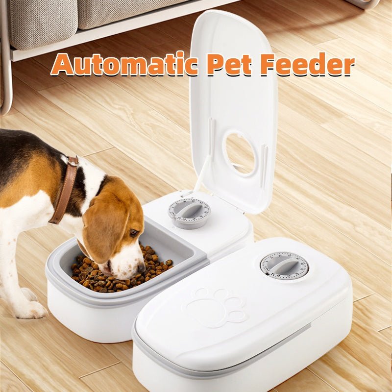 Automatic Pet Feeder Smart Food Dispenser My Store