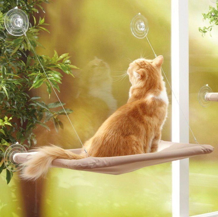 Pet Hanging Beds Cat Sunny Window Seat My Store